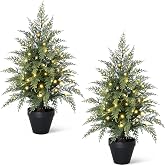 2FT Small Christmas Tree with Lights, Pre-Lit Cedar Mini Xmas Tree Potted | Pre-Assembled Realistic Tabletop Christmas Tree for Porch Desk Fireplace Indoor Outdoor Garden Farmhouse Home Decor