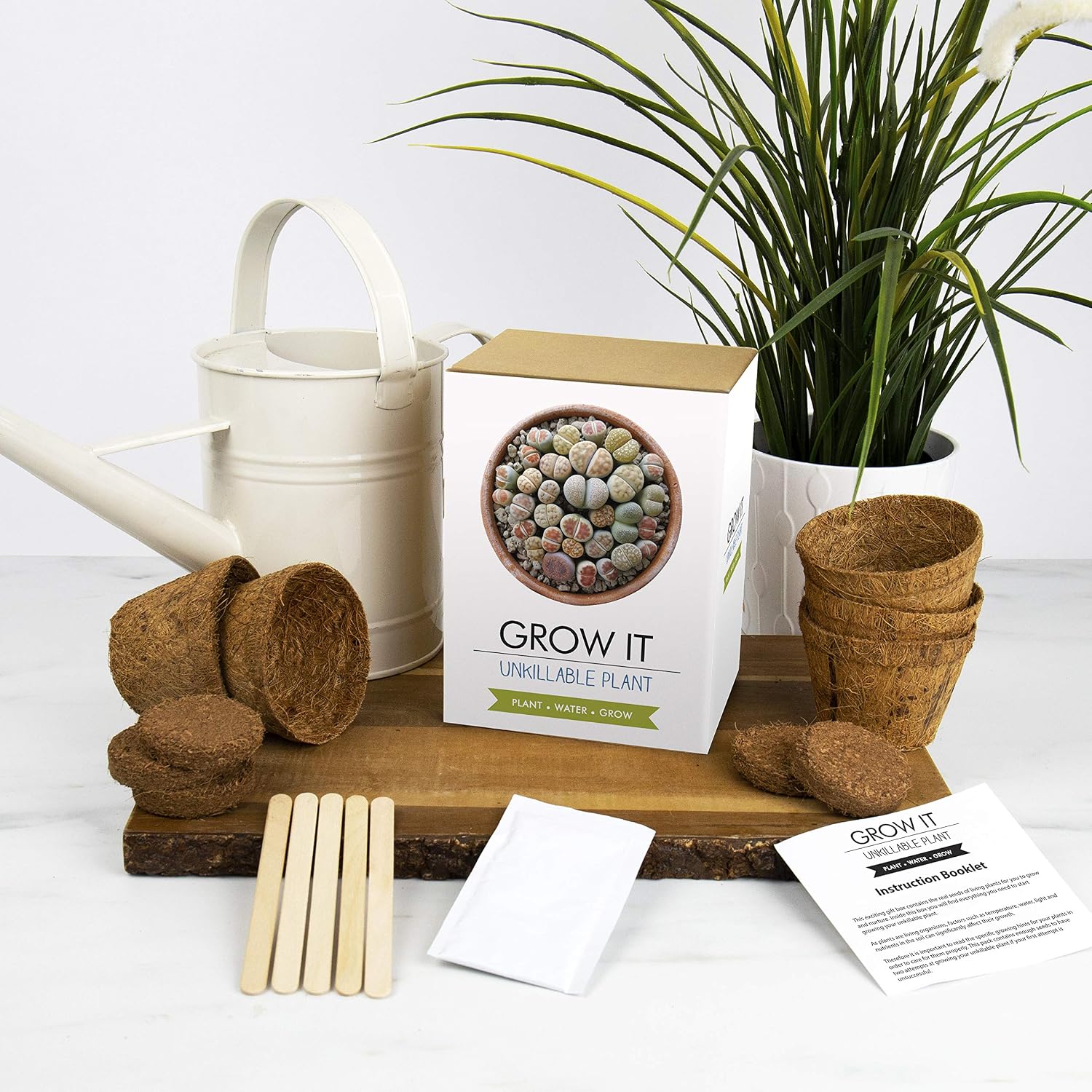 Gift Republic Grow Your Own Living Stone Plant Grow It Unkillable Plant Gift Set Succulent Plant Lithops Plant Seeds - Image 3