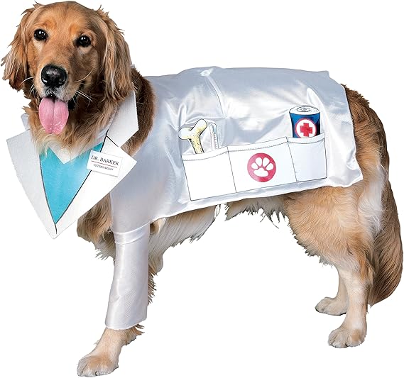 a dog doctor