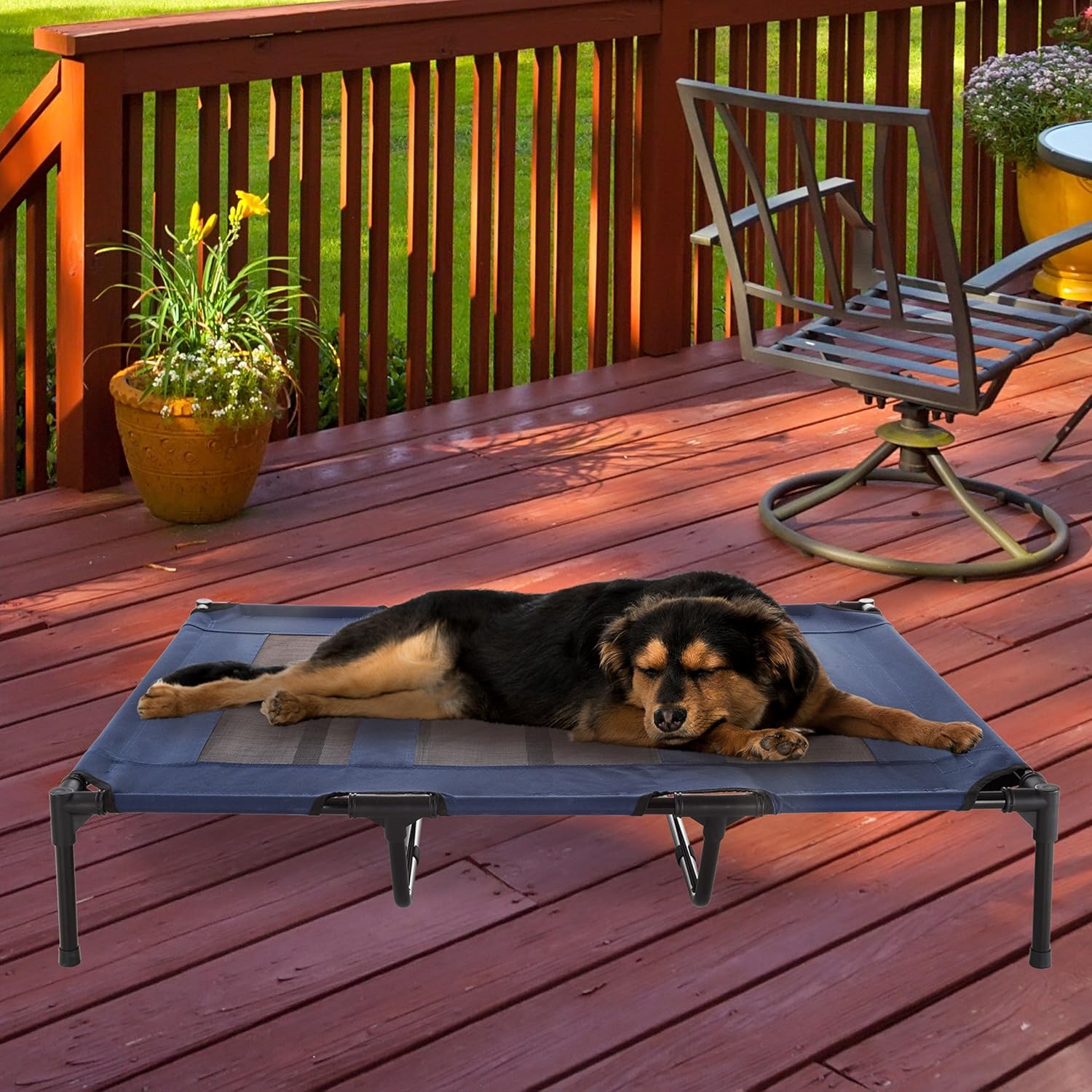 petmaker elevated pet bed