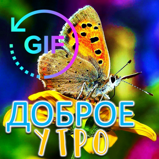 amazon com good morning gif with the best russian wishes appstore for android good morning gif with the best russian