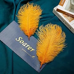 Soarer Gold Ostrich Feathers for Crafts - 15 pcs
