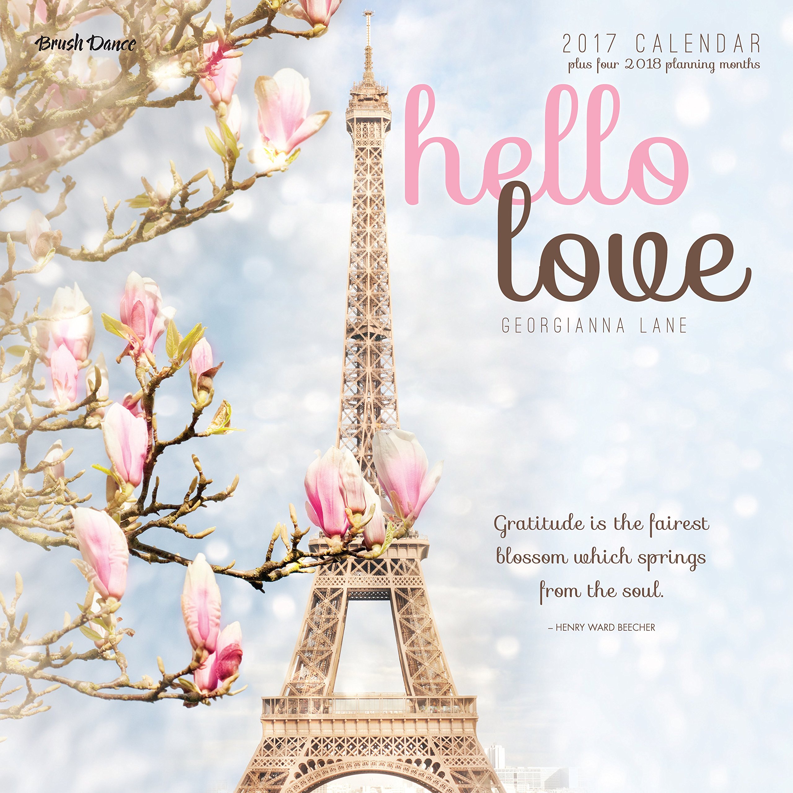 Hello Love 17 Wall Calendar Brush Dance And Georgianna Lane Amazon Com Books