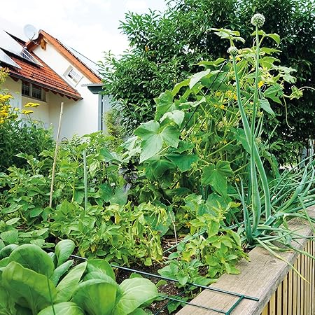 Tutor de espaldera para hortalizas, 77 x 121 cm (altura): Amazon ...
