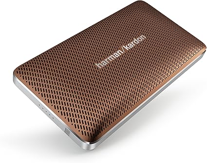 harman kardon esquire mini buzzing