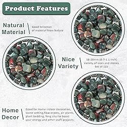 Crocon 1LB African Bloodstone Tumbled Stones and