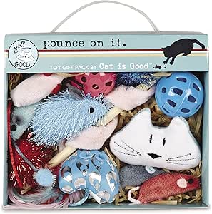 Cat Is Good 12-Piece Pounce Toy Gift Box – Pounce on It Assorted Toys Keep Cats and Kittens Entertained Safely