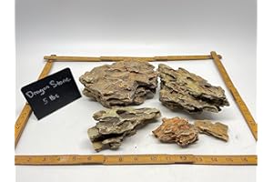 AQUARIUM PLANT CENTER Small Dragon (Ohko) Stone (5 lbs) Aquarium Decoration Aquascaping Rock