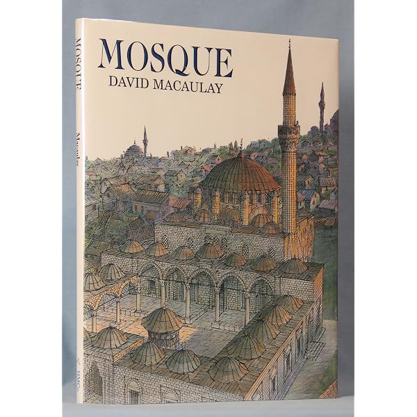 Amazon.com: Unbuilding: 9780395294574: MacAulay, David: Books