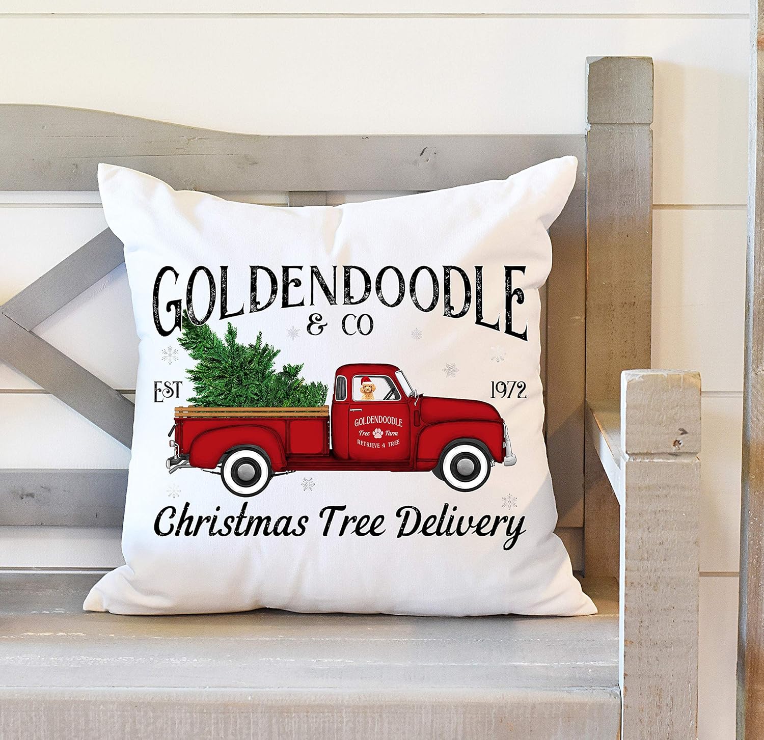 pic Goldendoodle Pillow amazon com