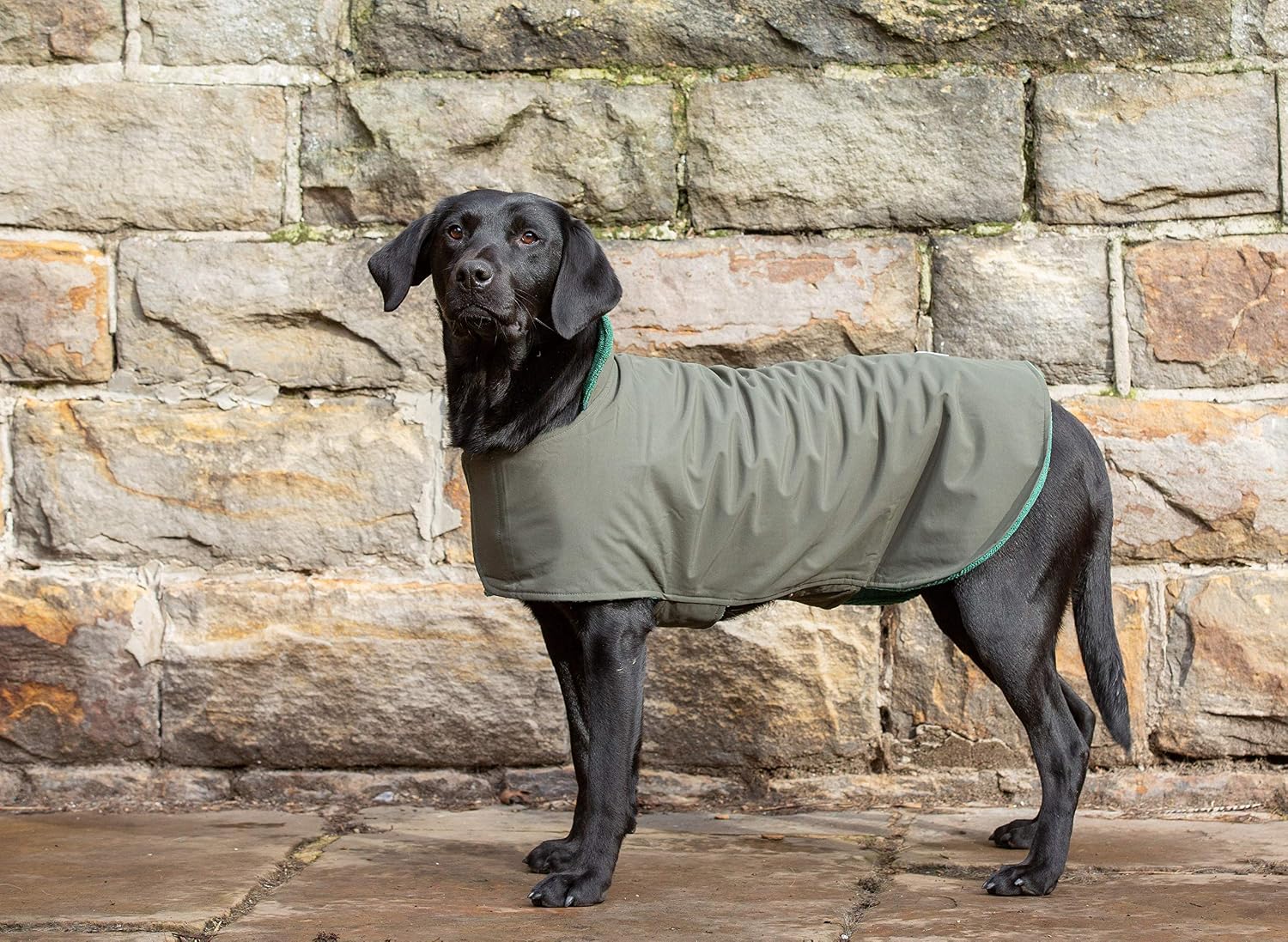 Dog & Field 2-in-1 Waterproof Dog Coat, Green. Microfiber Lined Dog Drying Coat