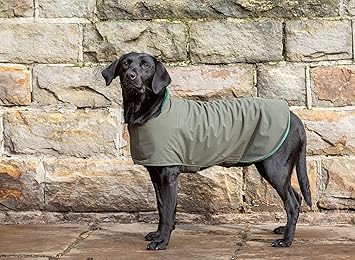 dog field jacket