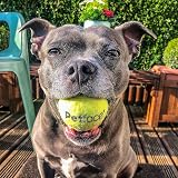 Petface Super Tennis Balls For Dogs Pack of 12 Dry Waterproof Chew Safe view 4