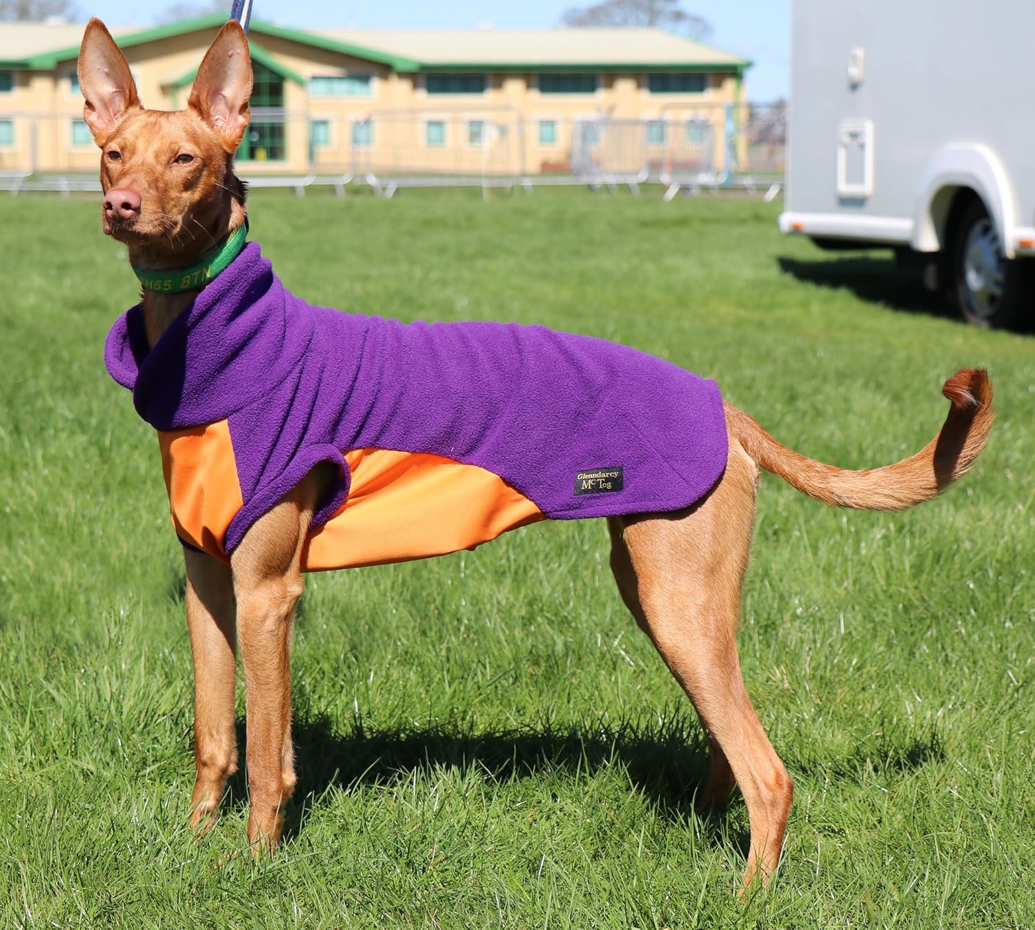 Glenndarcy dog fleece Clearance