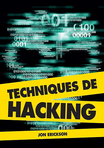 Download Techniques de hacking PDF