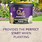 Q4 Mycorrhizal Fungi Rootmore 2.5kg Tub for Roses Trees Shrubs Edibles view 3
