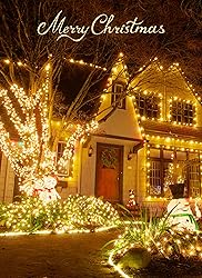 Battery Operated String Lights Outdoor, 2 Pack