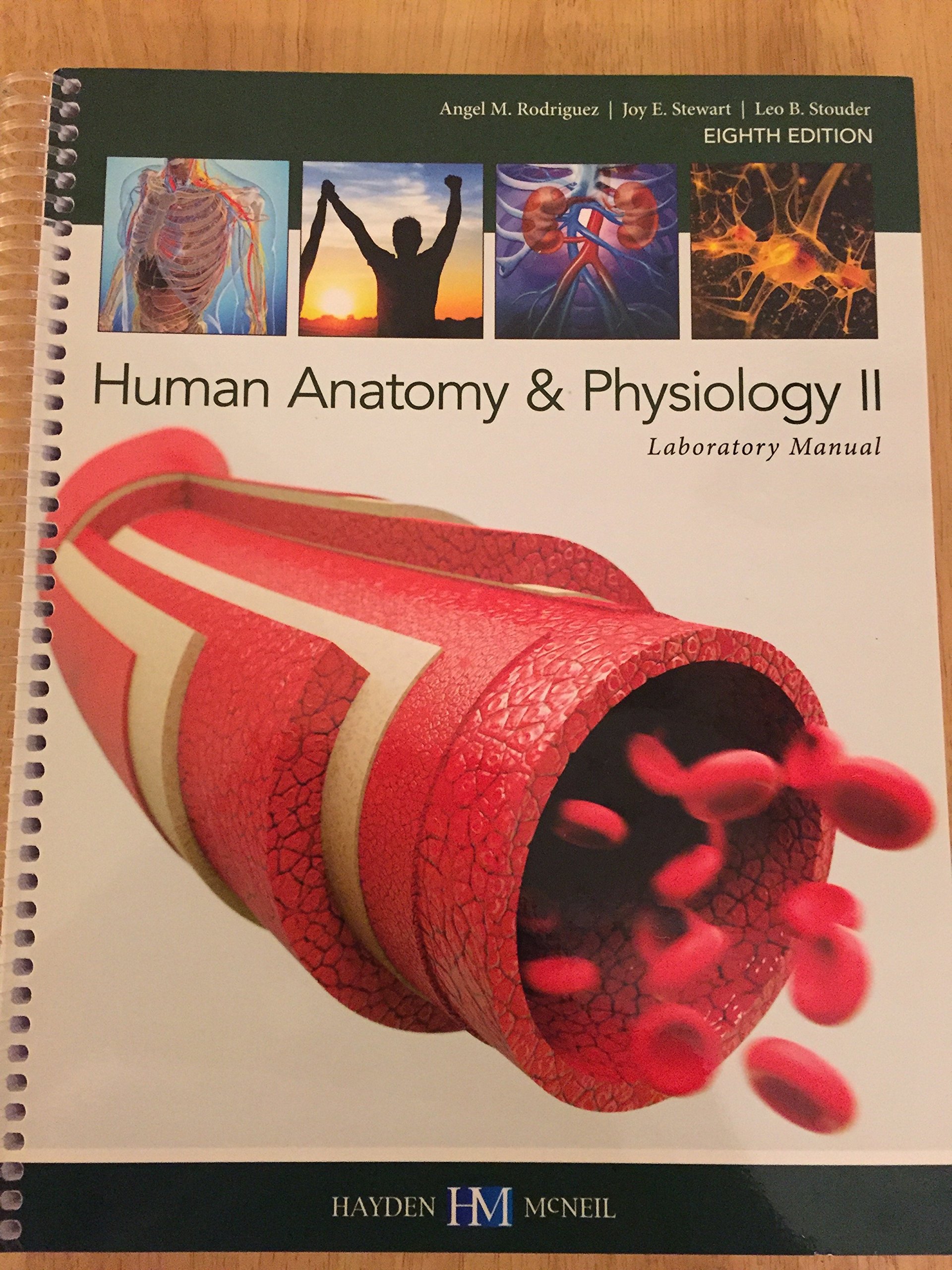 Human Anatomy & Physiology II Laboratory Manual: Amazon.com: Books
