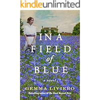 In a Field of Blue: A Novel book cover
