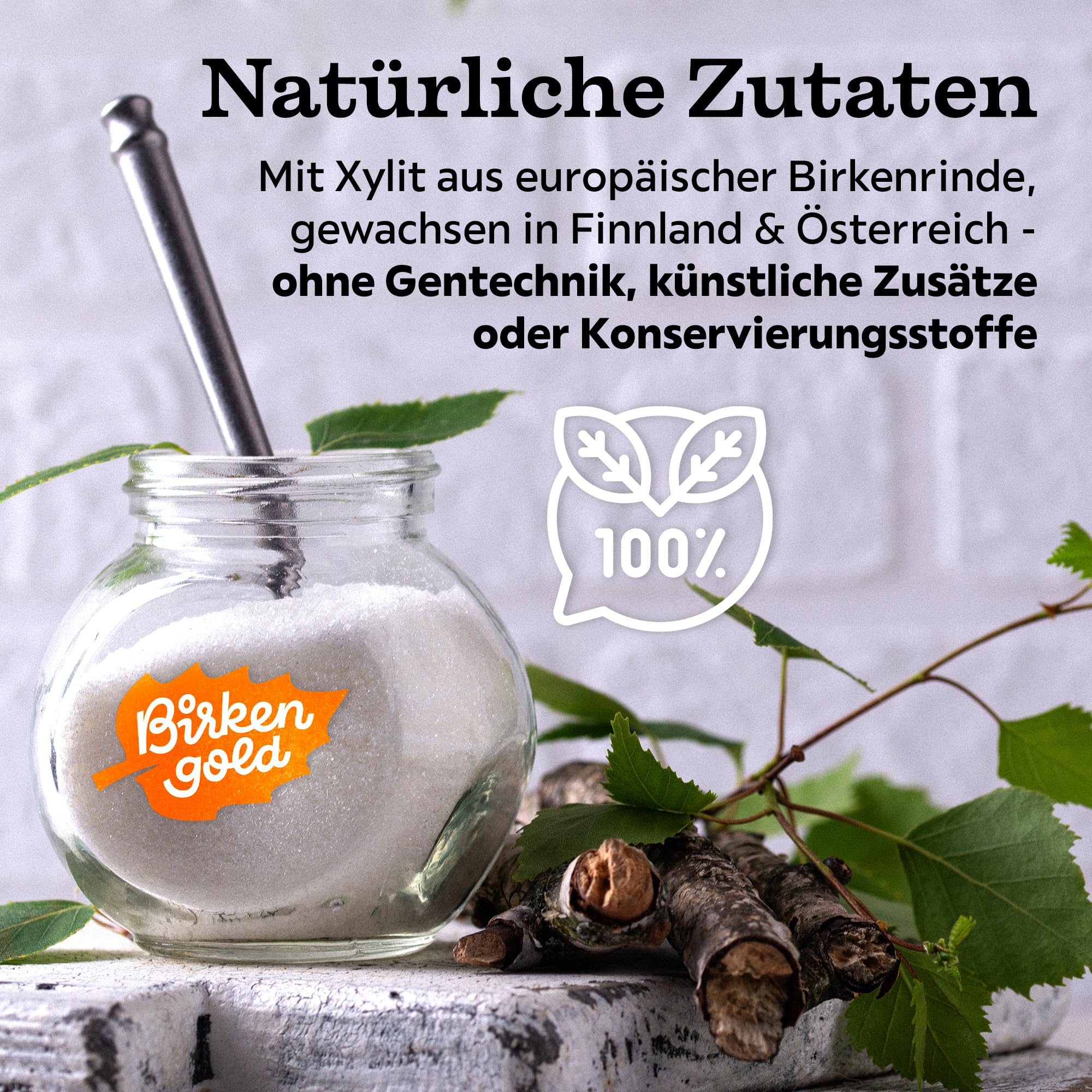 Birkengold zuckerfreie Gummibärchen | 10x50g | vegan | ohne Gelatine | mit Maltit & Xylit gesüßt | Weingummi zuckerfrei | natürliche Inhaltsstoffe | zuckerfreie Süßigkeit ideal für Kinder 4
