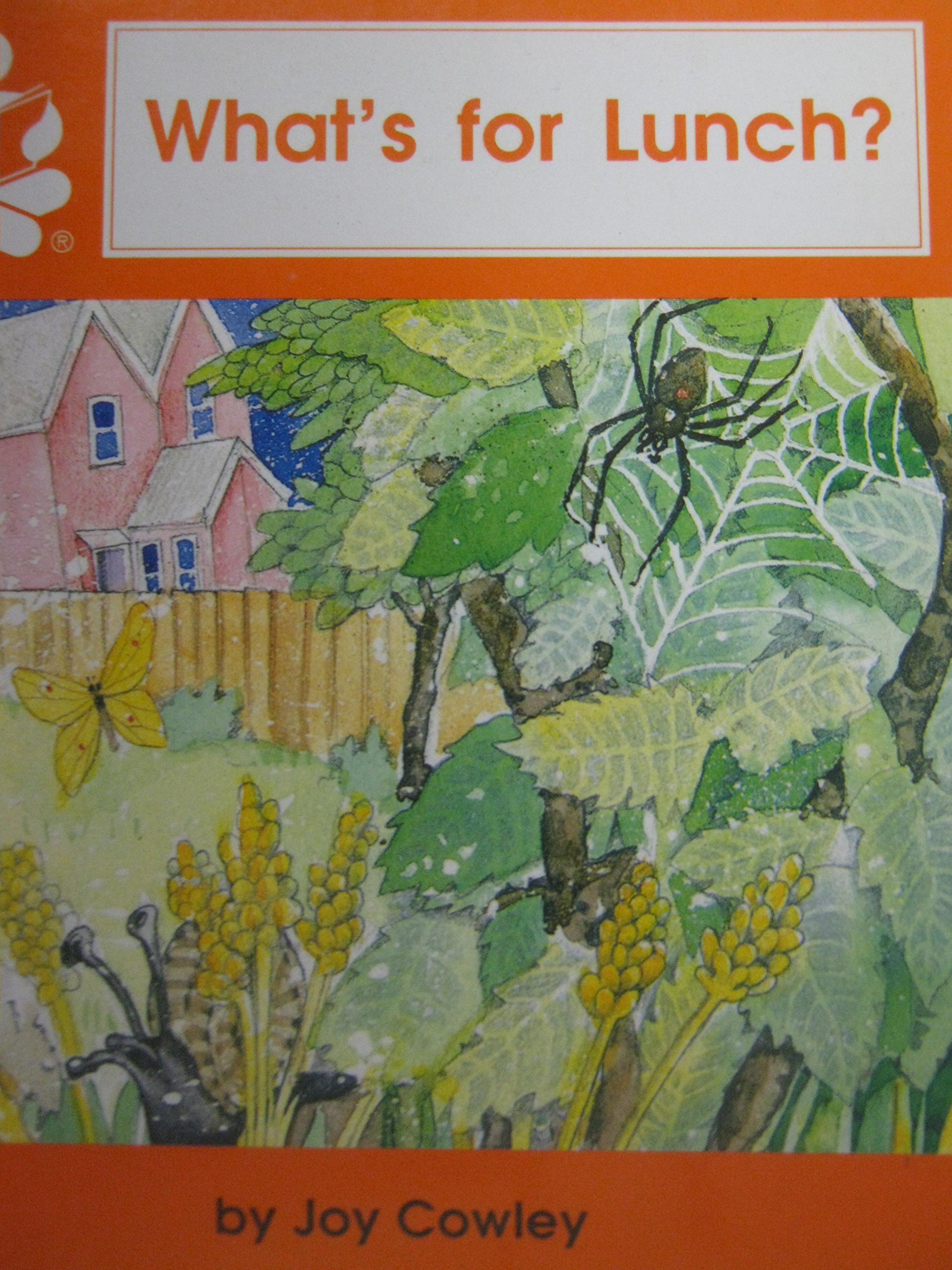 What S For Lunch Joy Cowley Rodney Mcrae 9781559111461 Amazon Com Books