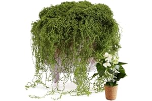 USMOLA Fake Moss for Potted Plants Indoor, 7OZ Green Moss for Crafts - Realistic Faux Moss Decor for DIY, Terrariums, Fairy Gardens & Table Centerpieces - Craft Moss for Home Decor (Natural Green)