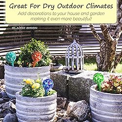 Blazin' Bison Indoor Plant Watering Globes