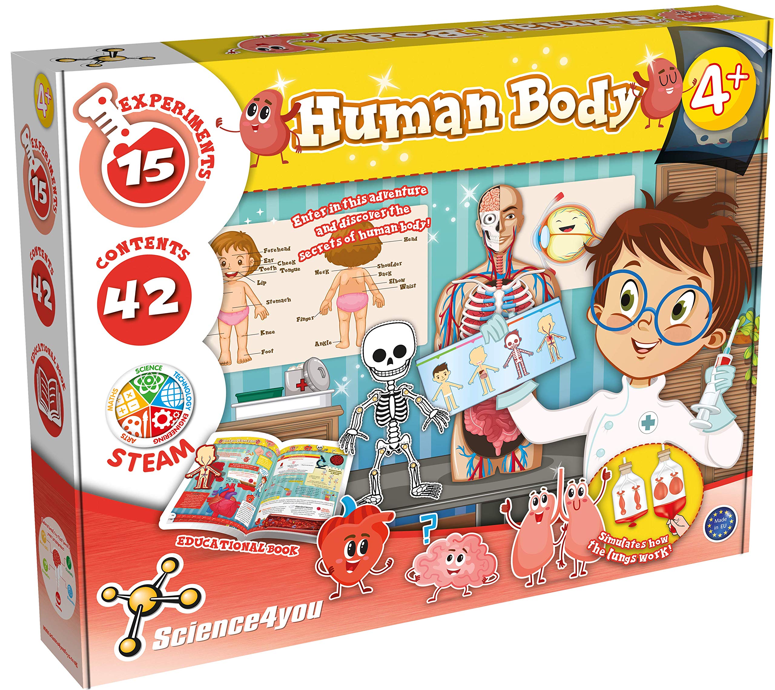 Science4you 918920.006 Human Body STEM Science Kit for Kids Ages 4+