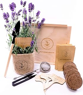 TEE KRÄUTERGARTEN ANZUCHTSET 4 Sorten Pflanzen Samen- garten Starter-Set, öko Saatgut mit Holzkiste mit deckel, mini gewächshaus, kinderküche zubehör, Kinder Anzuchtset von PUT DOWN ROOTS