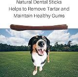 Britten and James 10 Thin Bull Pizzles 12cm Dog Chews Bully Stick view 2