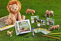 BrainBox Animals Card Game - Memory & Observation