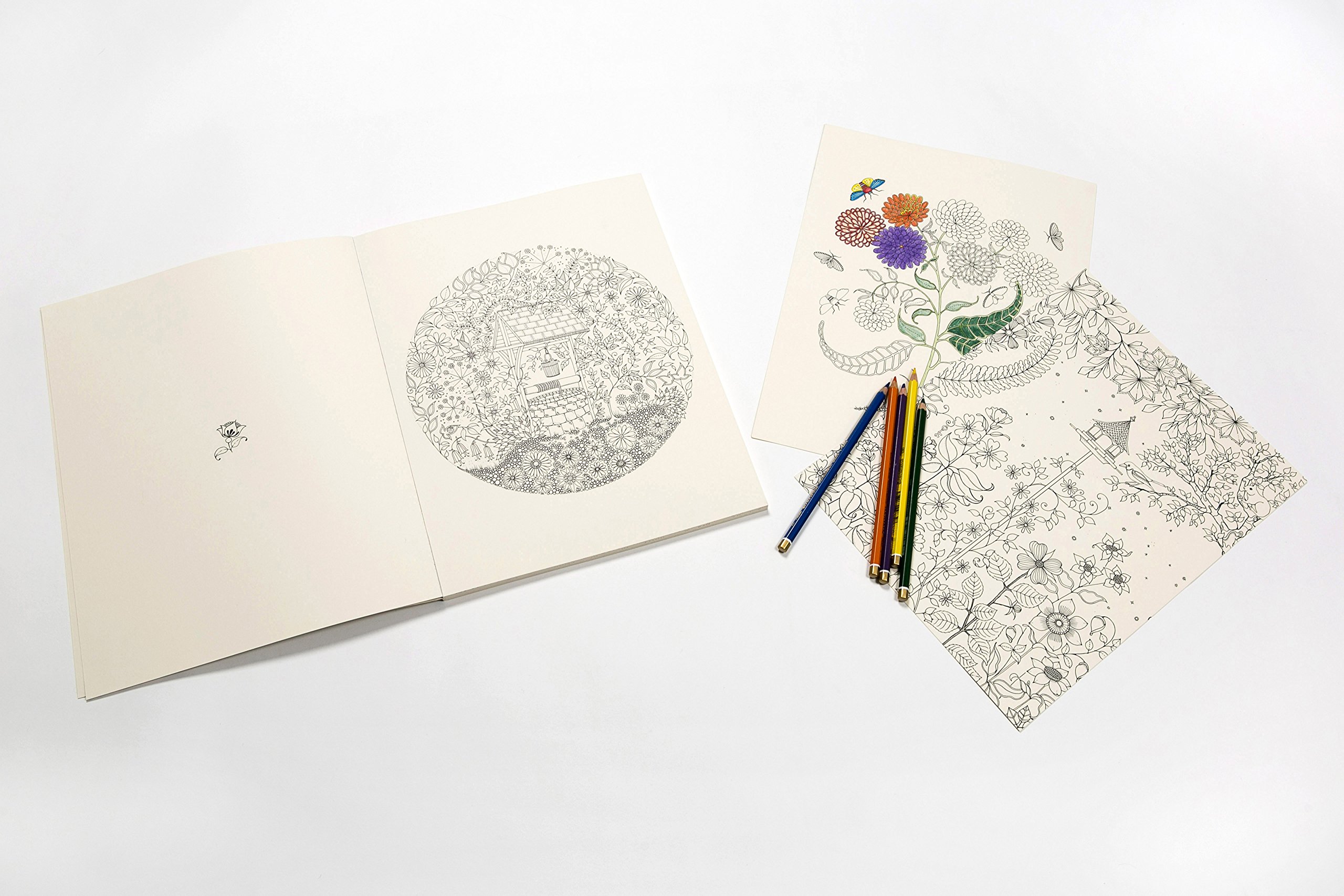 Download Amazon Com Secret Garden Artist S Edition A Pull Out And Frame Colouring Book Anglais 9781780677309 Basford Johanna Books