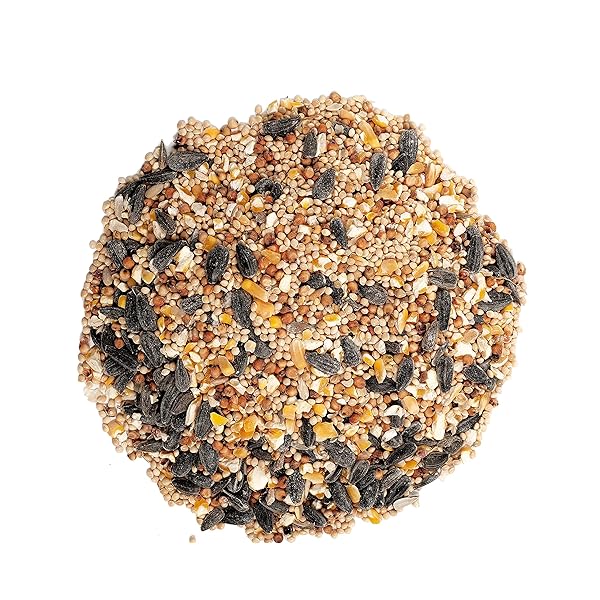 WAGNER’S 13008 DELUXE WILD BIRD FOOD, 10 LB BAG