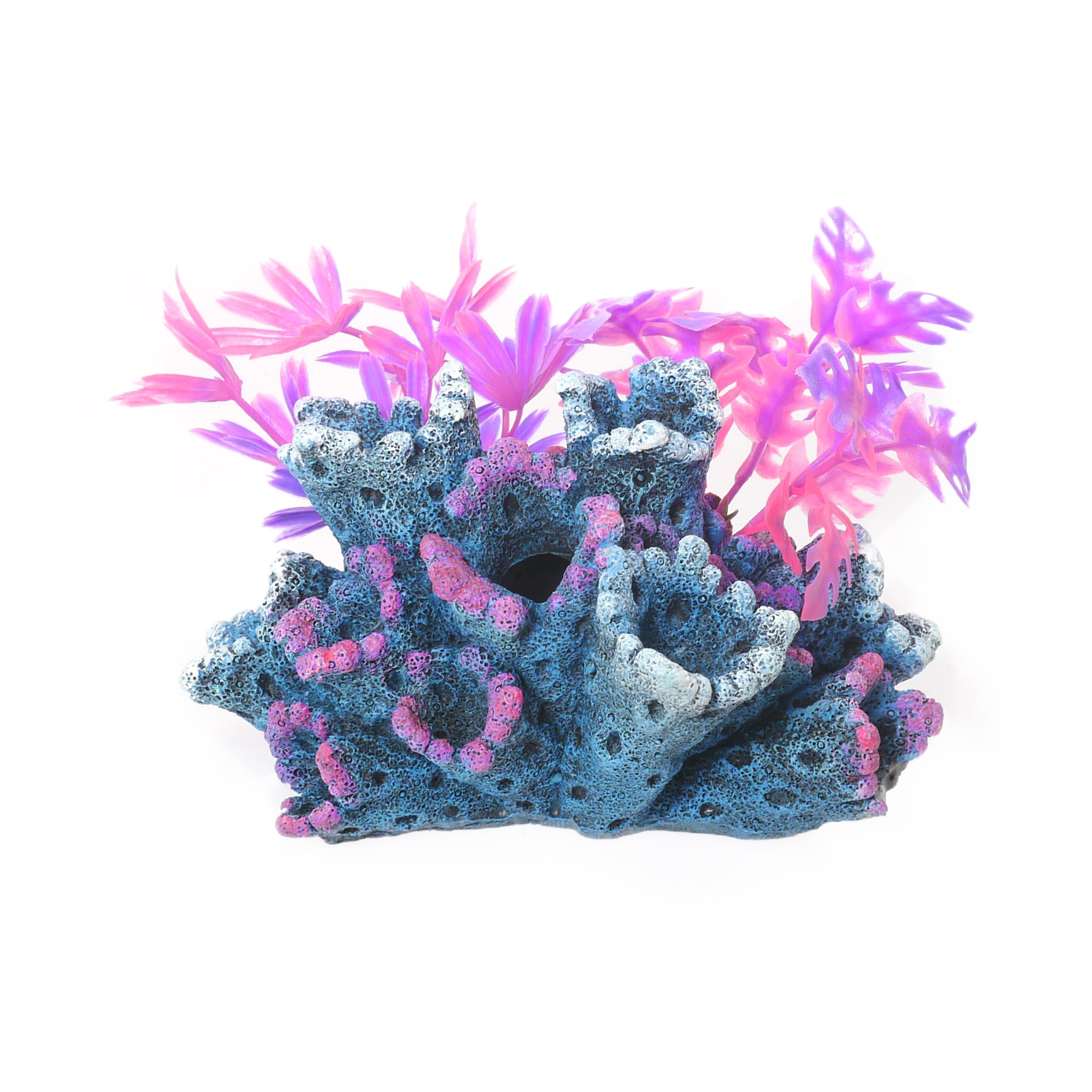 Rosewood Blue Ribbon FANTASY REEF WITH PLANTS