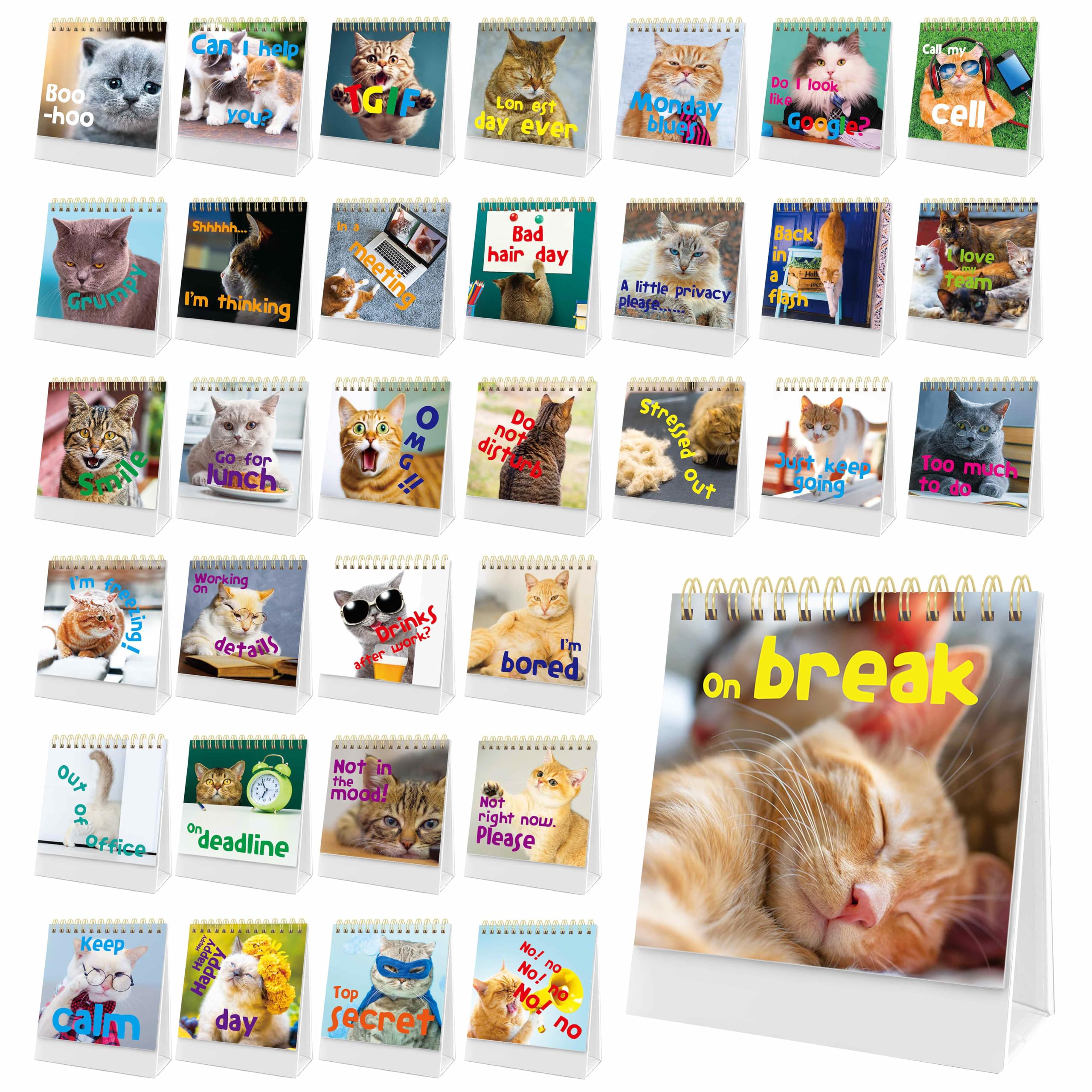 40 Pages Funny Desk Sign, 34 Different Fun and Flip-Over Messages plus 6 Erasable Blank Pages, Funny Desktop Flip Book for Office Gifts Desk Accessories (Cat Design)