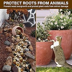 NUPICK 12lb River Rocks for Plants Indoor, 2-3Inch