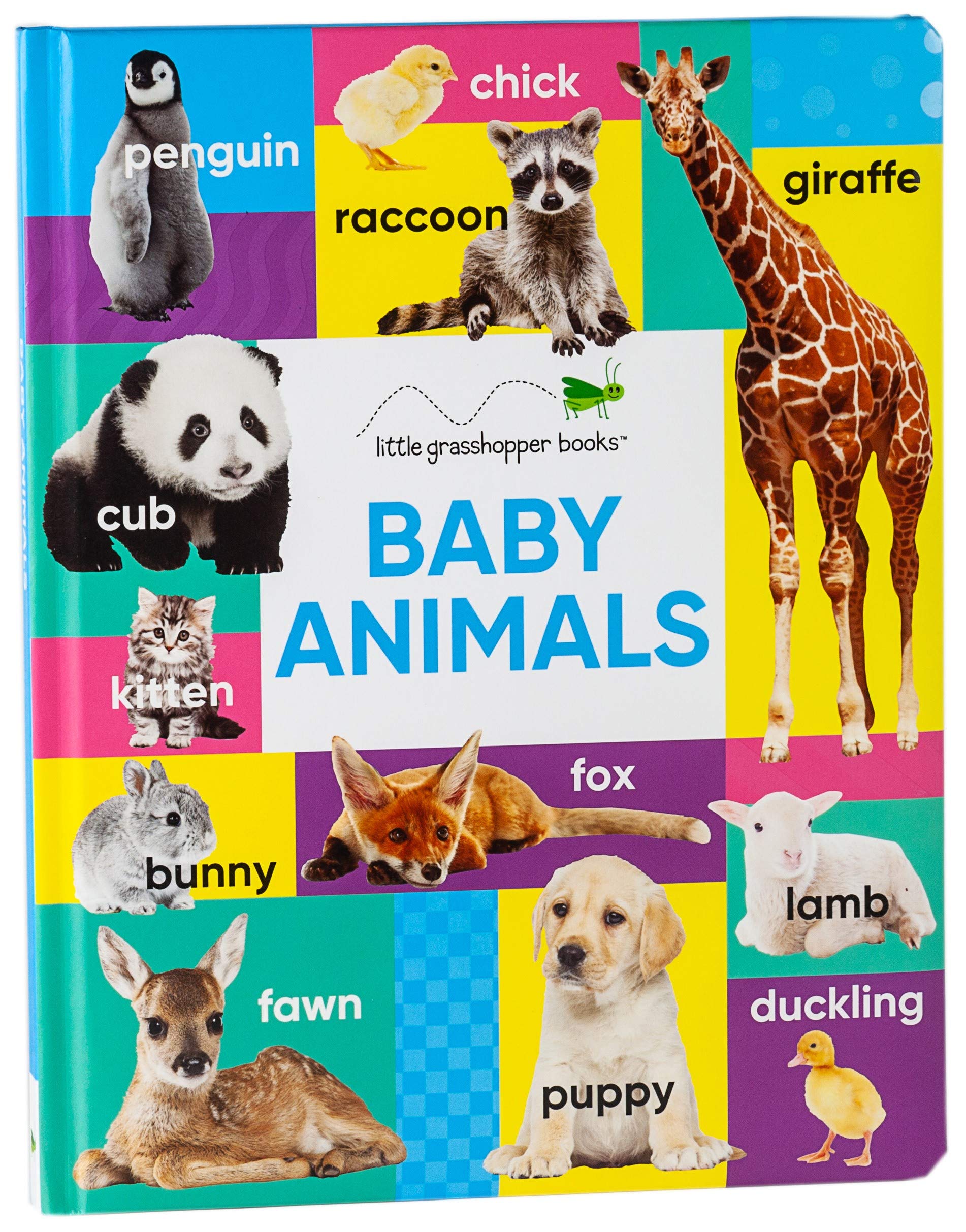 the baby animal book