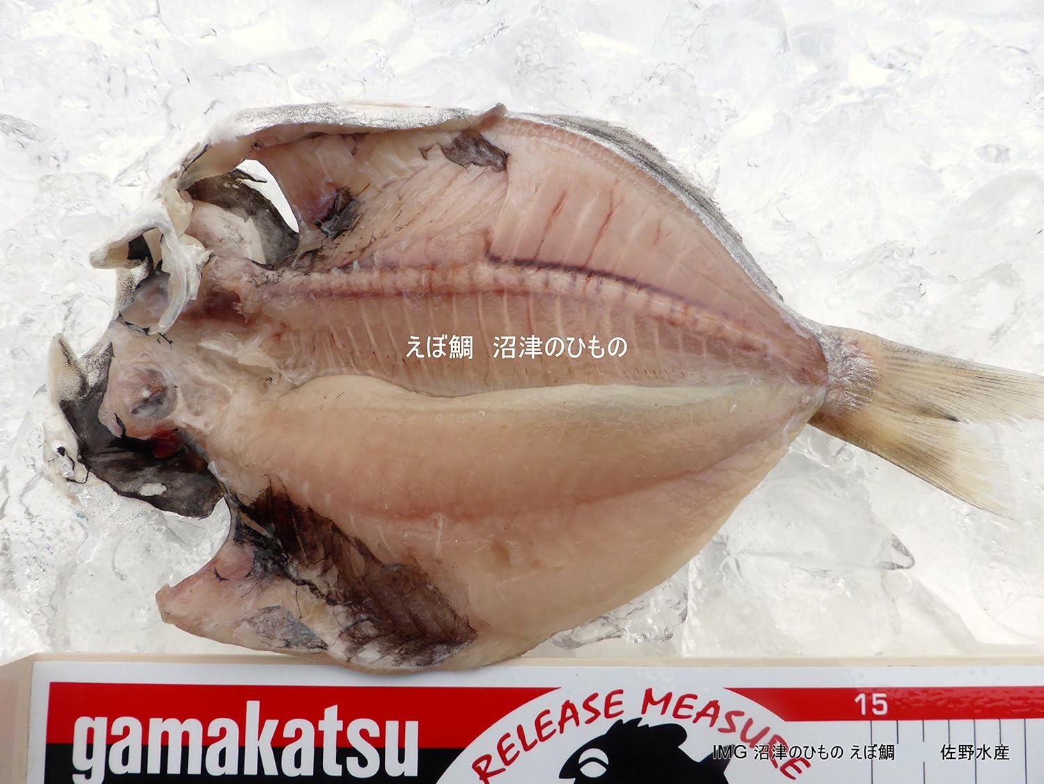 Amazon 沼津のひもの えぼ鯛 小 22枚 佐野水産 沼津のひもの 干物 燻製 通販