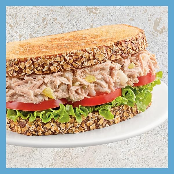 STARKIST TUNA CREATIONS, DELI STYLE TUNA SALAD, SINGLE SERVE POUCH, 3 OZ