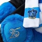 Care Bears x Harry Potter Ravenclaw Wish Bear Hoodie Plush 30cm view 4