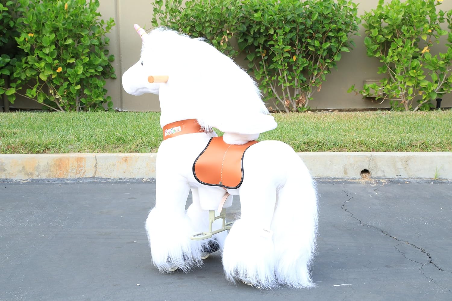 ponycycle for 2 year old