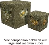 Rosewood I Love Hay Forage Cube Large - Natural Hay Treat & Gnaw Toy for Small view 2