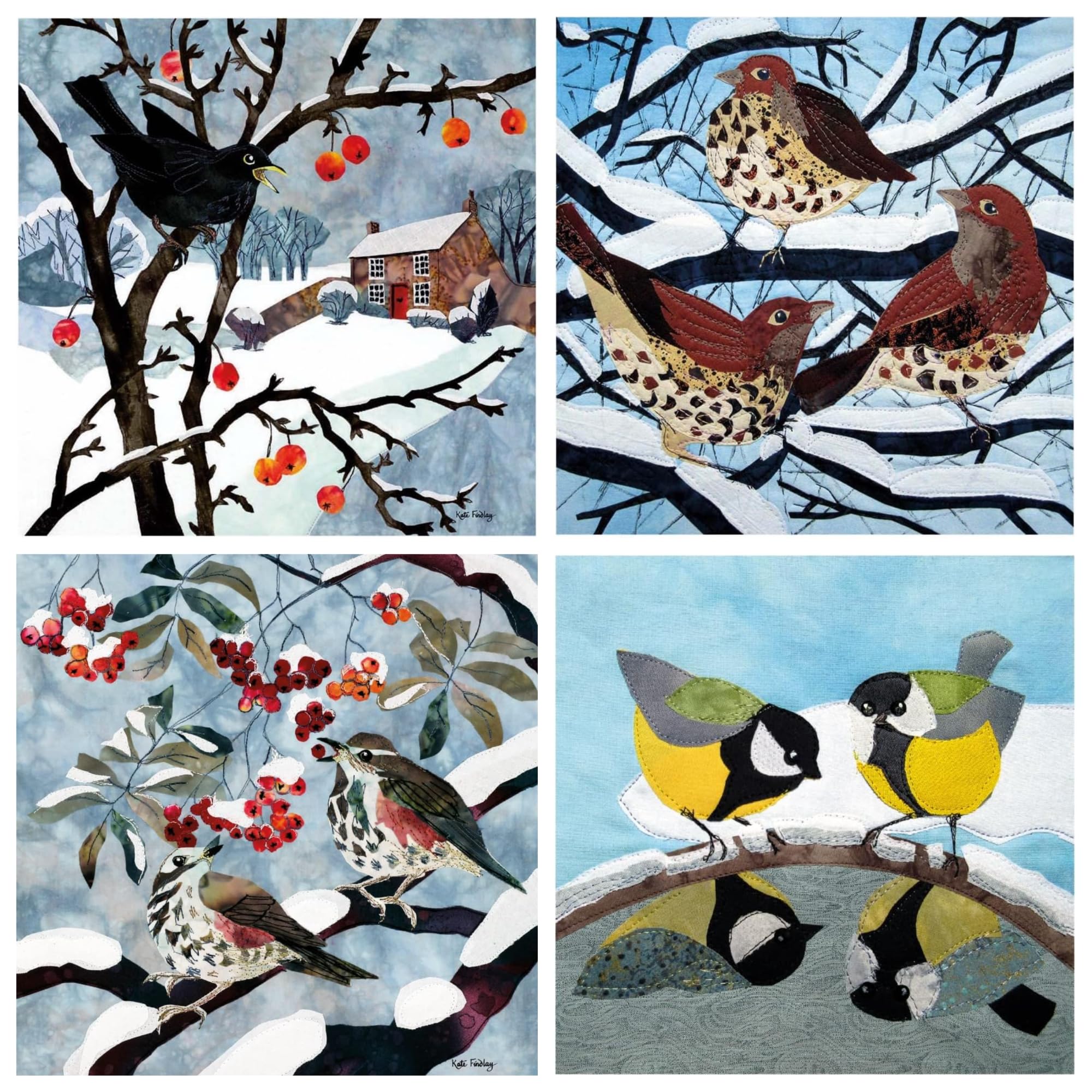 Museums & Galleries Christmas Cards Box of 20 - Assorted Designs - 4 x 5 British Birds in the Snow Designs - Festive Christmas Cards Multipack