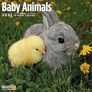 Amazon Bright Day Calendars 21赤ちゃん動物の壁カレンダー 12 X 12インチ かわいい アダルトカレンダー 文房具 オフィス用品