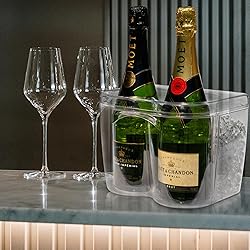 Ice Chilled Wine Bottle Server and Carafe Set