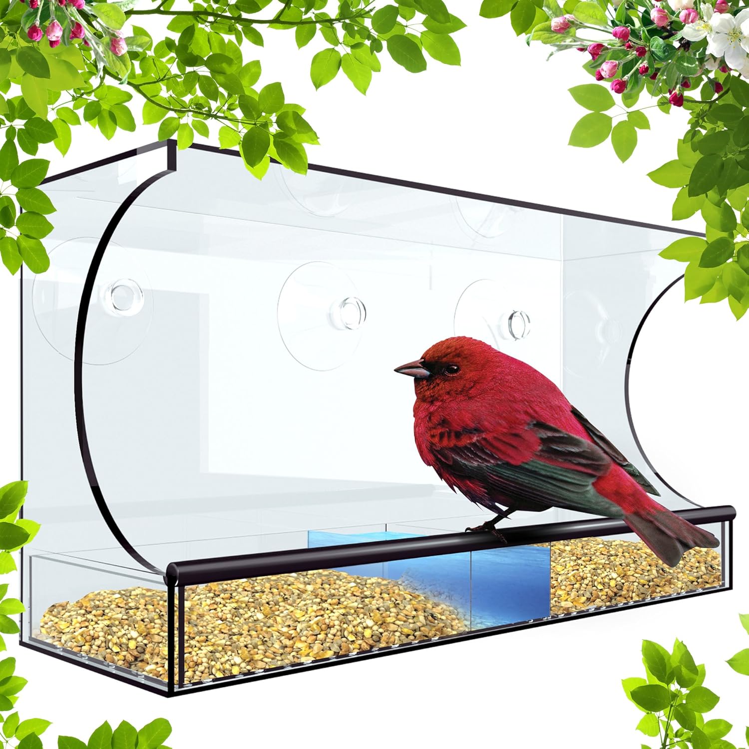 Amazon Com Tadge Goods Window Bird Feeder For Outside Xl 5