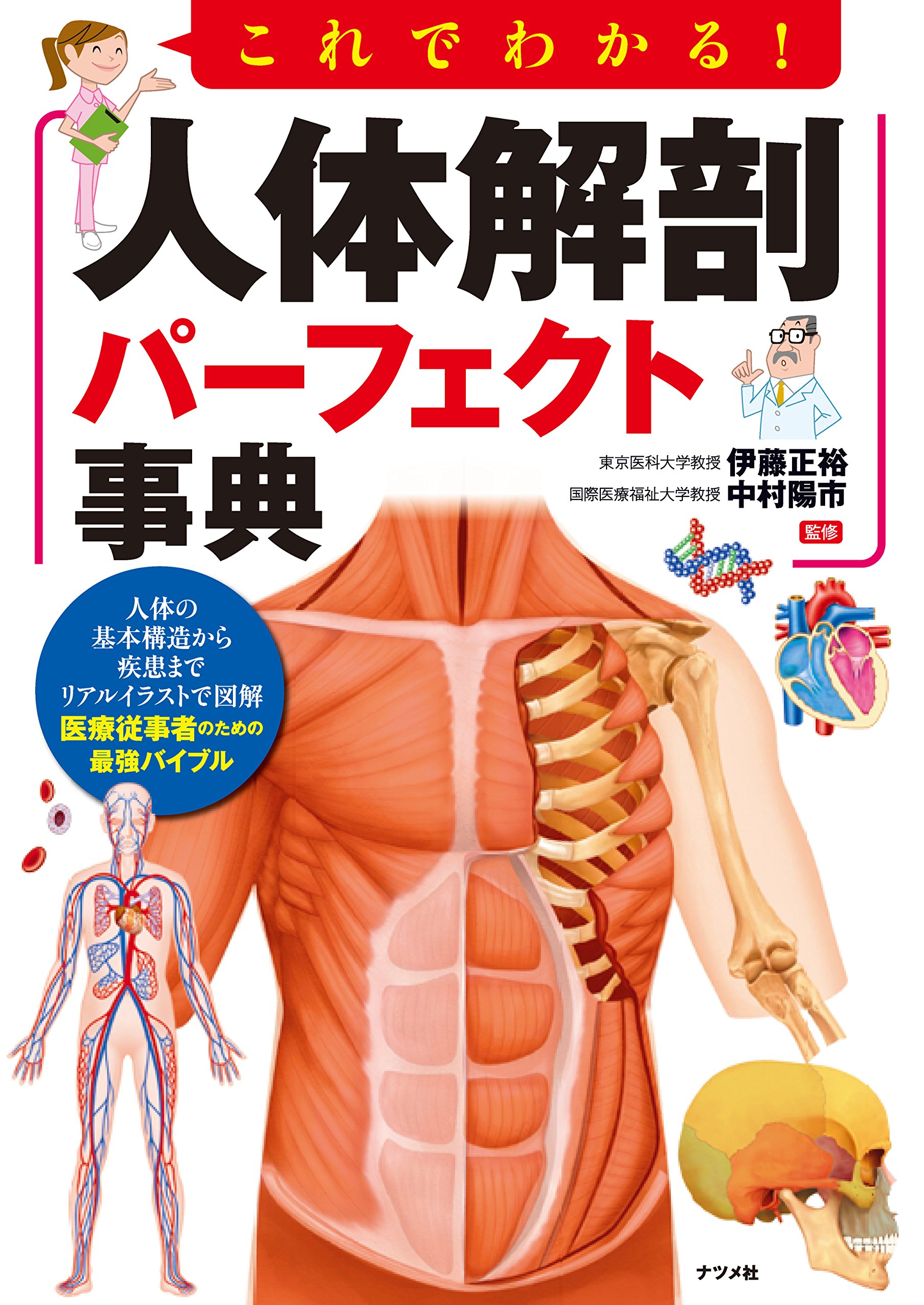 これでわかる 人体解剖パーフェクト事典 伊藤 正裕 中村 陽市 本 通販 Amazon