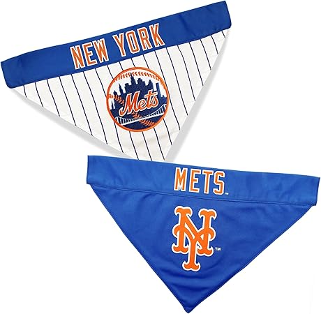 black mouth cur and mastiff mix