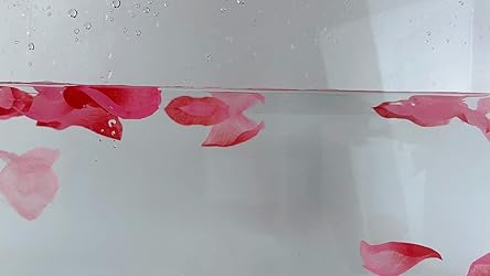 can rose toy go in water How to Use The Rose Toy for the First Time main image 0