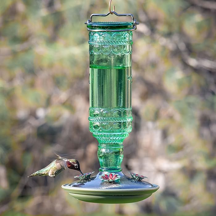Perky-Pet-8108-2-Glass-Hummingbird-Feeder